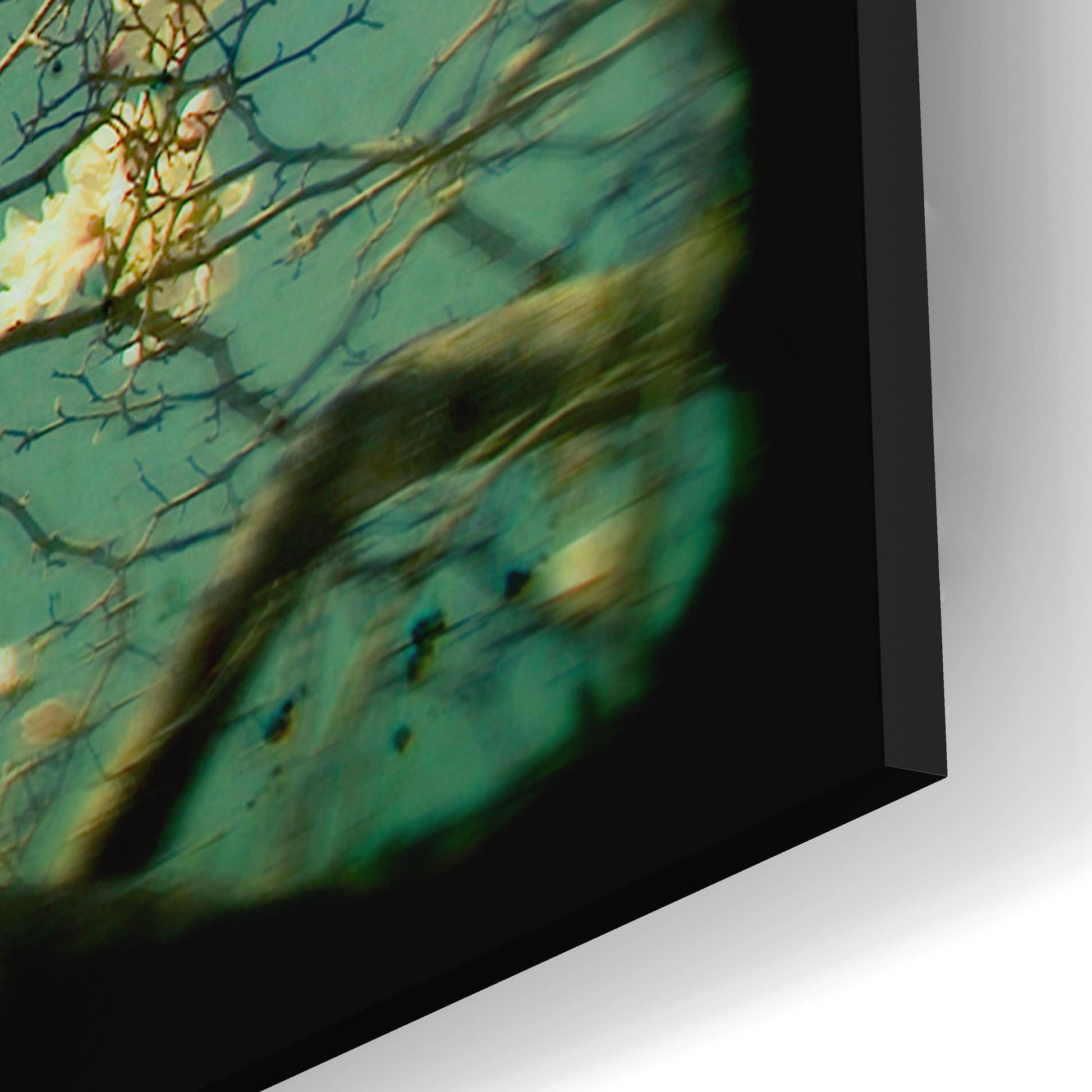 Epic Art ' Reach' by Irene Suchocki, Acrylic Glass Wall Art,12x12