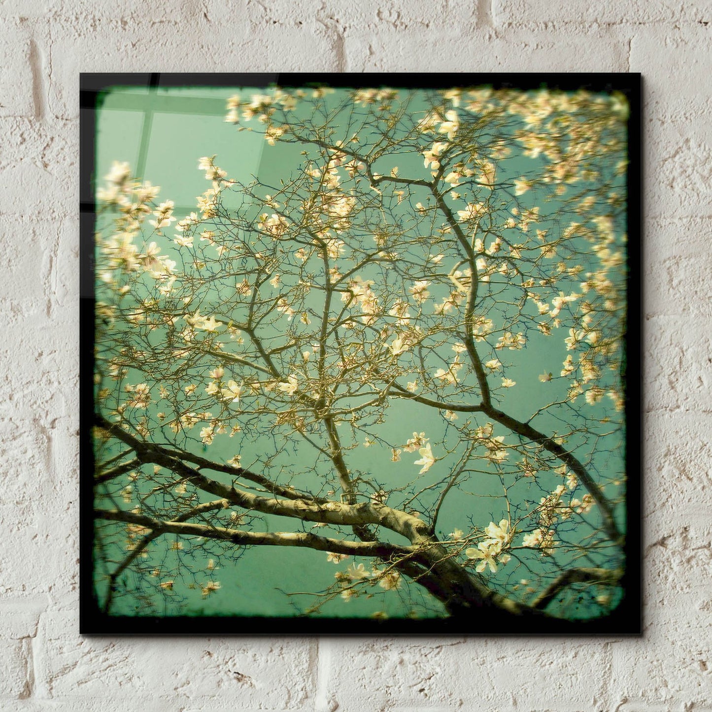 Epic Art ' Reach' by Irene Suchocki, Acrylic Glass Wall Art,12x12