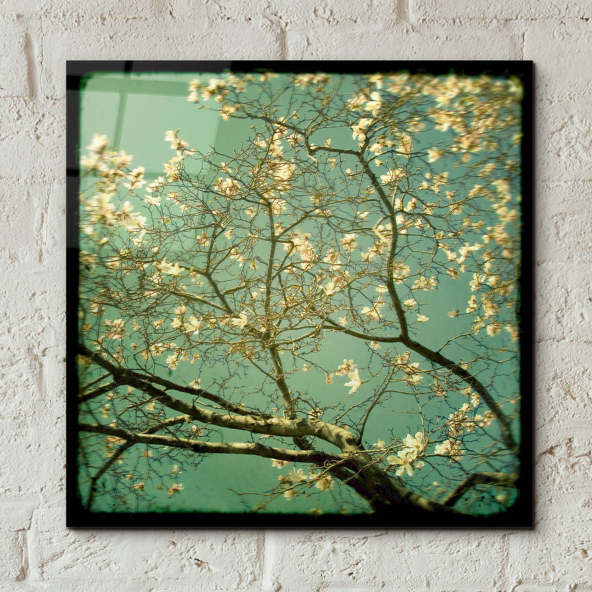 Epic Art ' Reach' by Irene Suchocki, Acrylic Glass Wall Art,12x12
