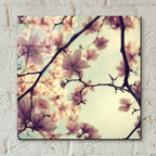 Epic Art ' Pink Blossoms' by Irene Suchocki, Acrylic Glass Wall Art,12x12