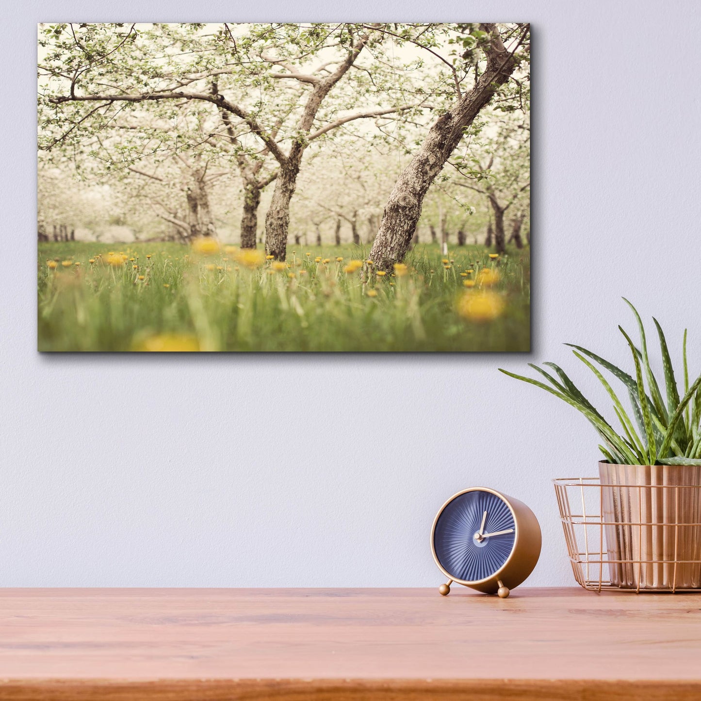 Epic Art ' Quiet Orchard' by Irene Suchocki, Acrylic Glass Wall Art,16x12