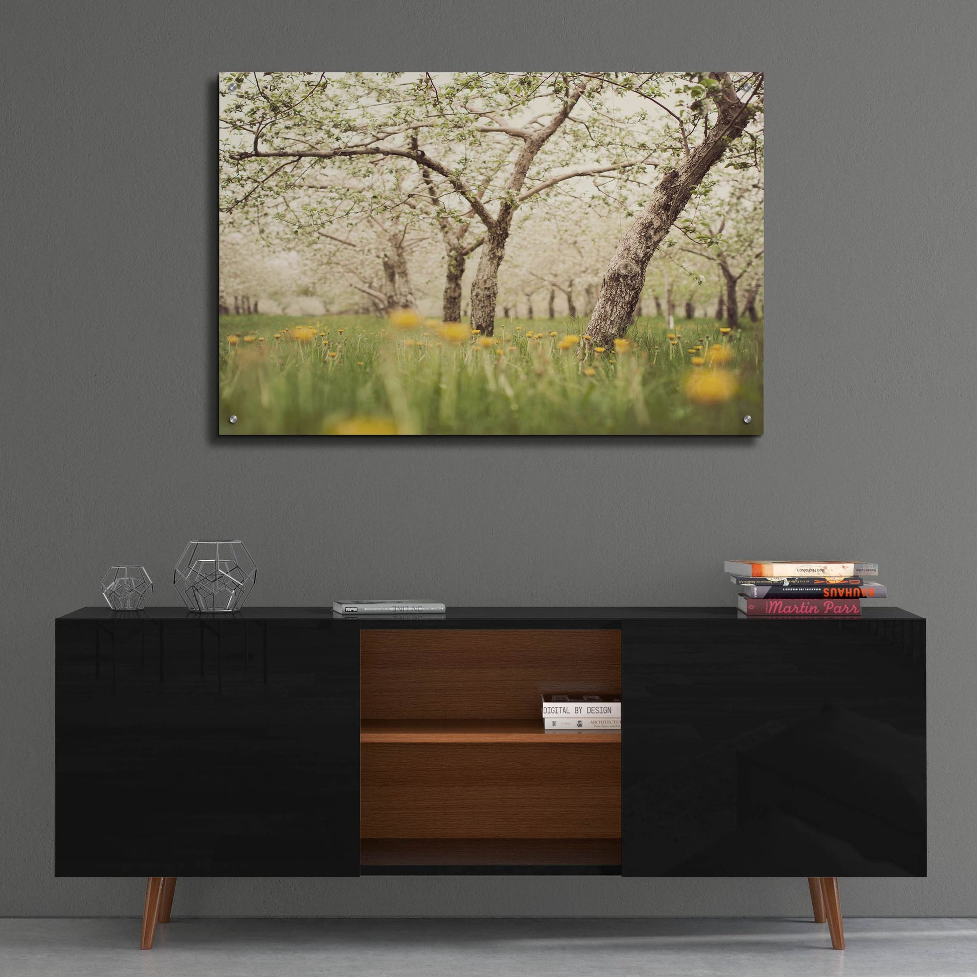 Epic Art ' Quiet Orchard' by Irene Suchocki, Acrylic Glass Wall Art,36x24