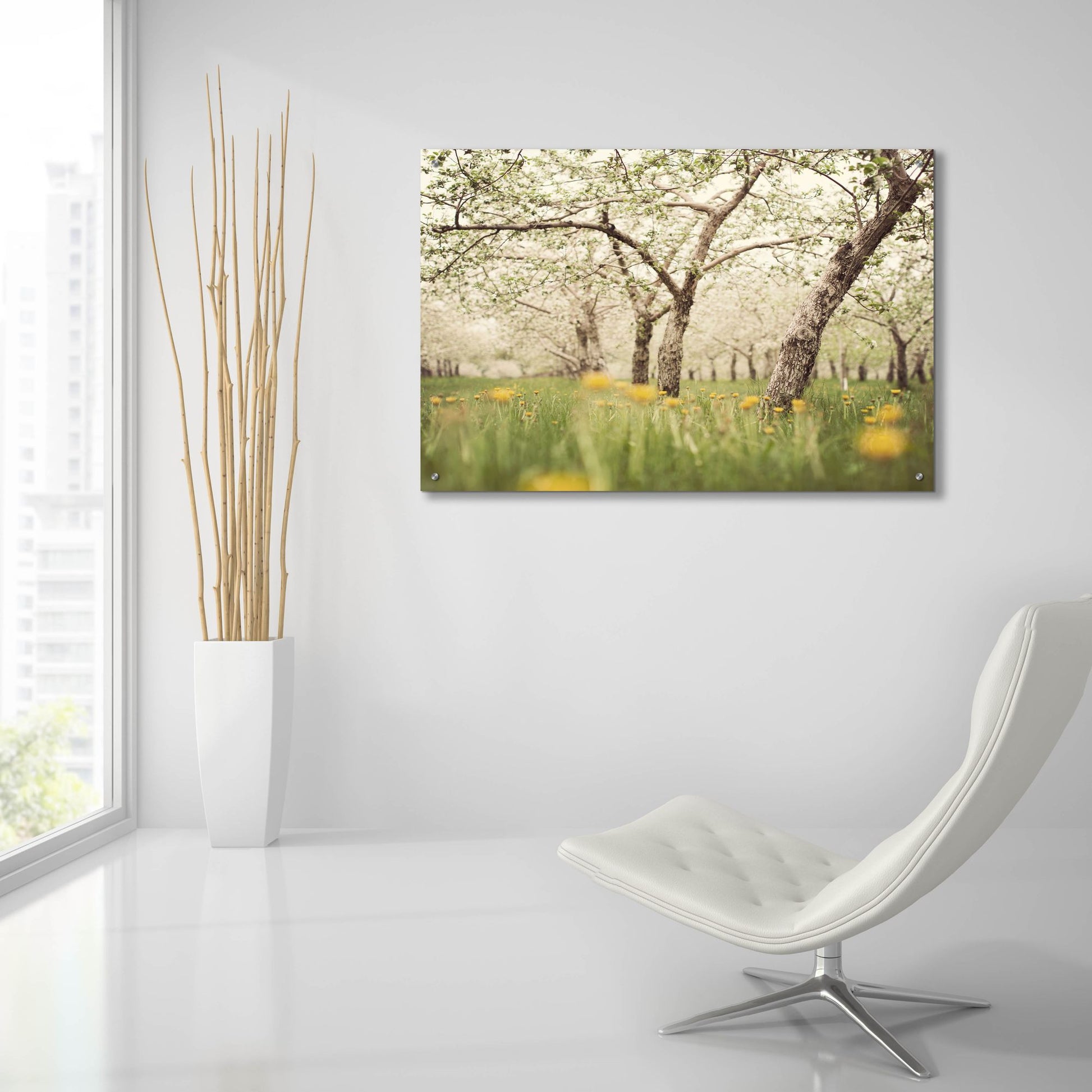 Epic Art ' Quiet Orchard' by Irene Suchocki, Acrylic Glass Wall Art,36x24