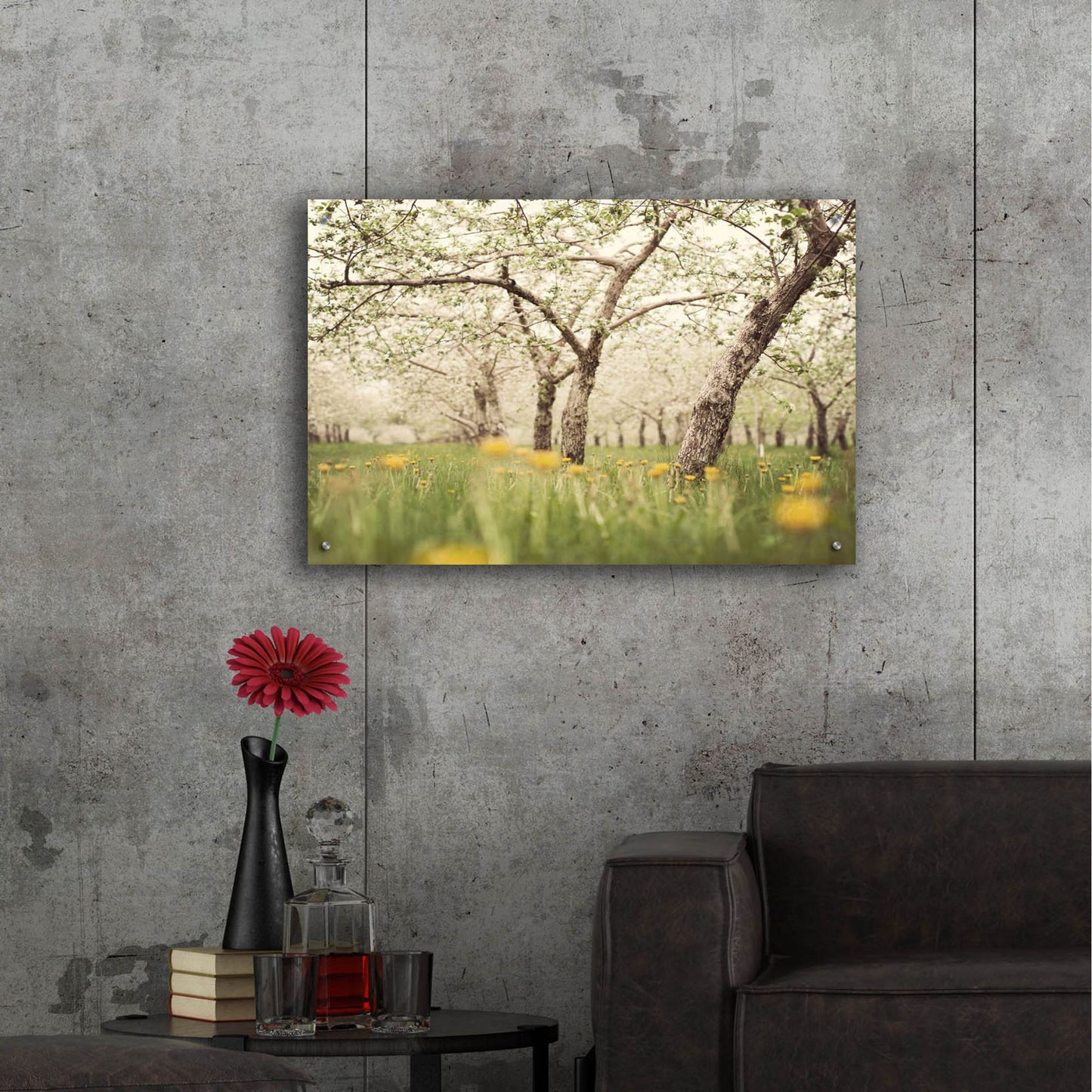 Epic Art ' Quiet Orchard' by Irene Suchocki, Acrylic Glass Wall Art,36x24