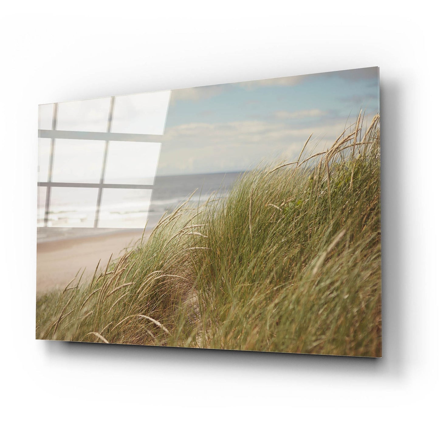 Epic Art ' Beach Grass I' by Irene Suchocki, Acrylic Glass Wall Art,24x16