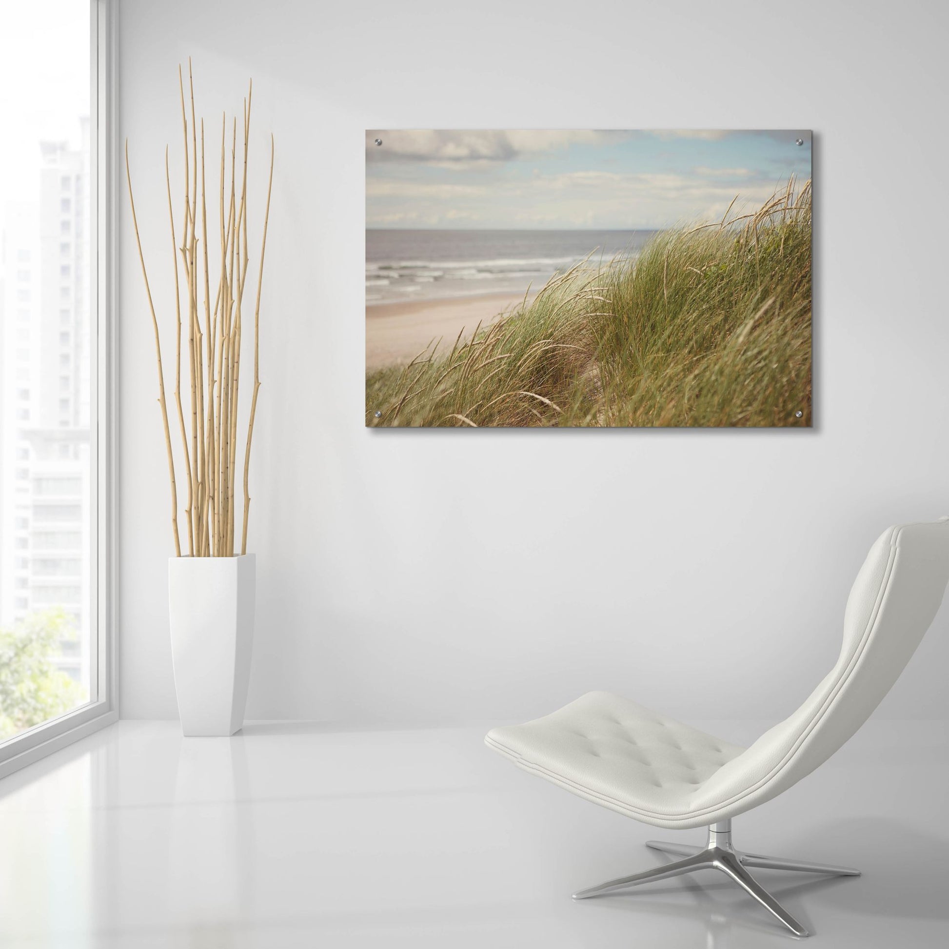 Epic Art ' Beach Grass I' by Irene Suchocki, Acrylic Glass Wall Art,36x24