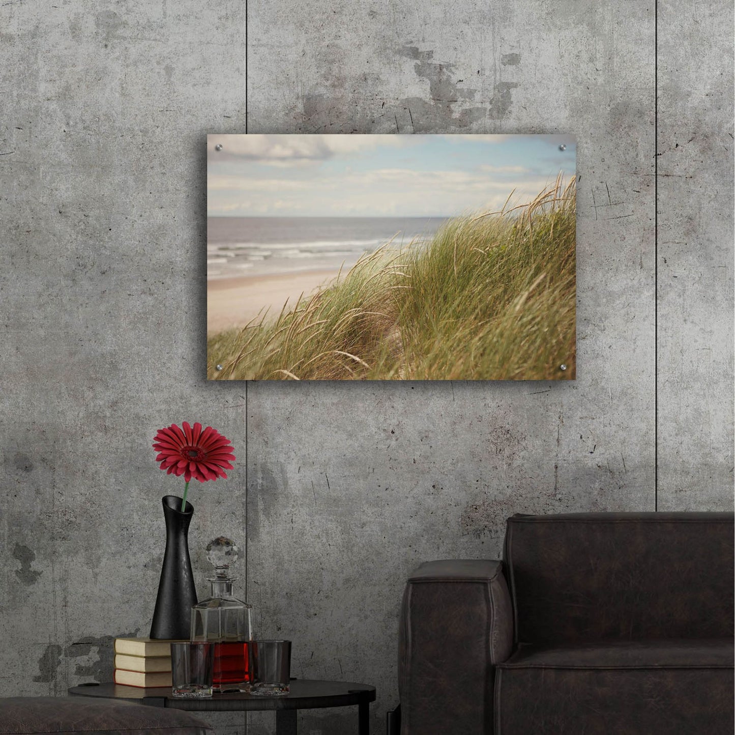 Epic Art ' Beach Grass I' by Irene Suchocki, Acrylic Glass Wall Art,36x24