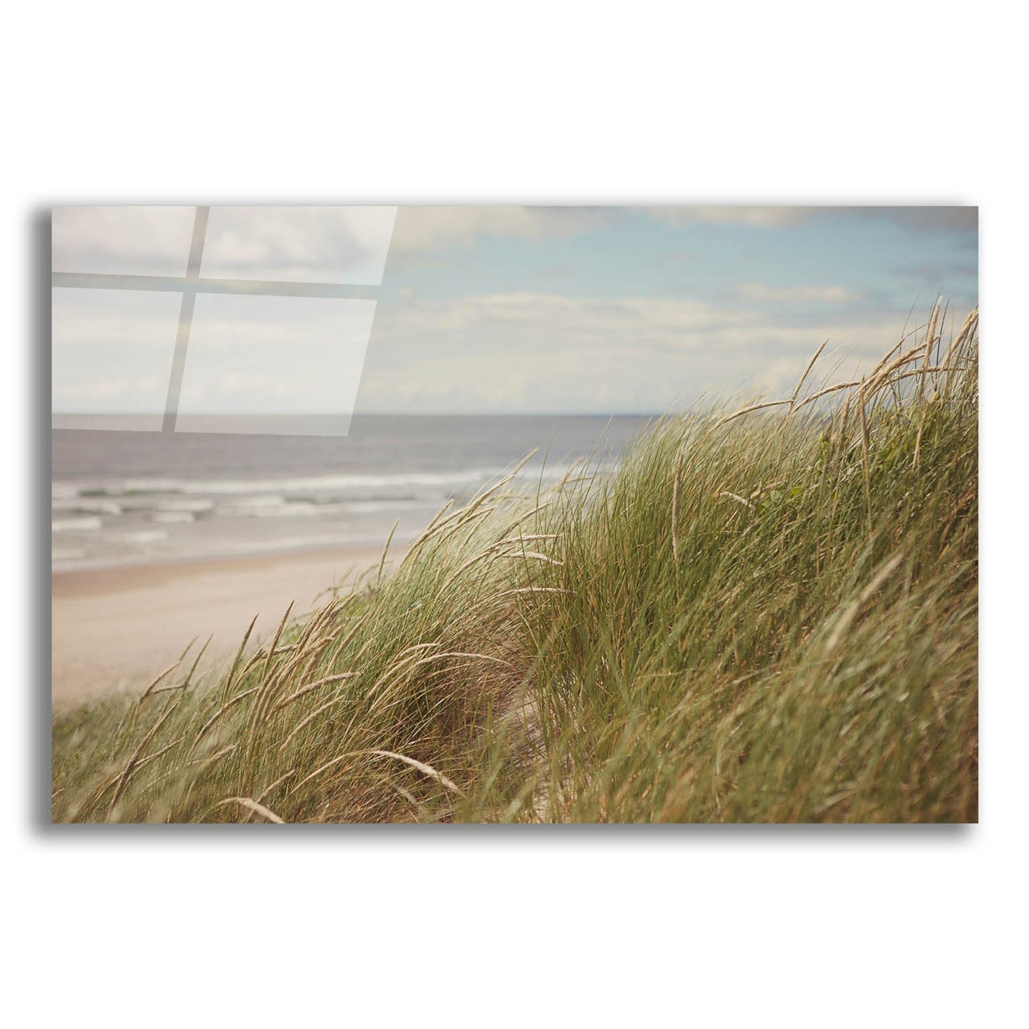 Epic Art ' Beach Grass I' by Irene Suchocki, Acrylic Glass Wall Art