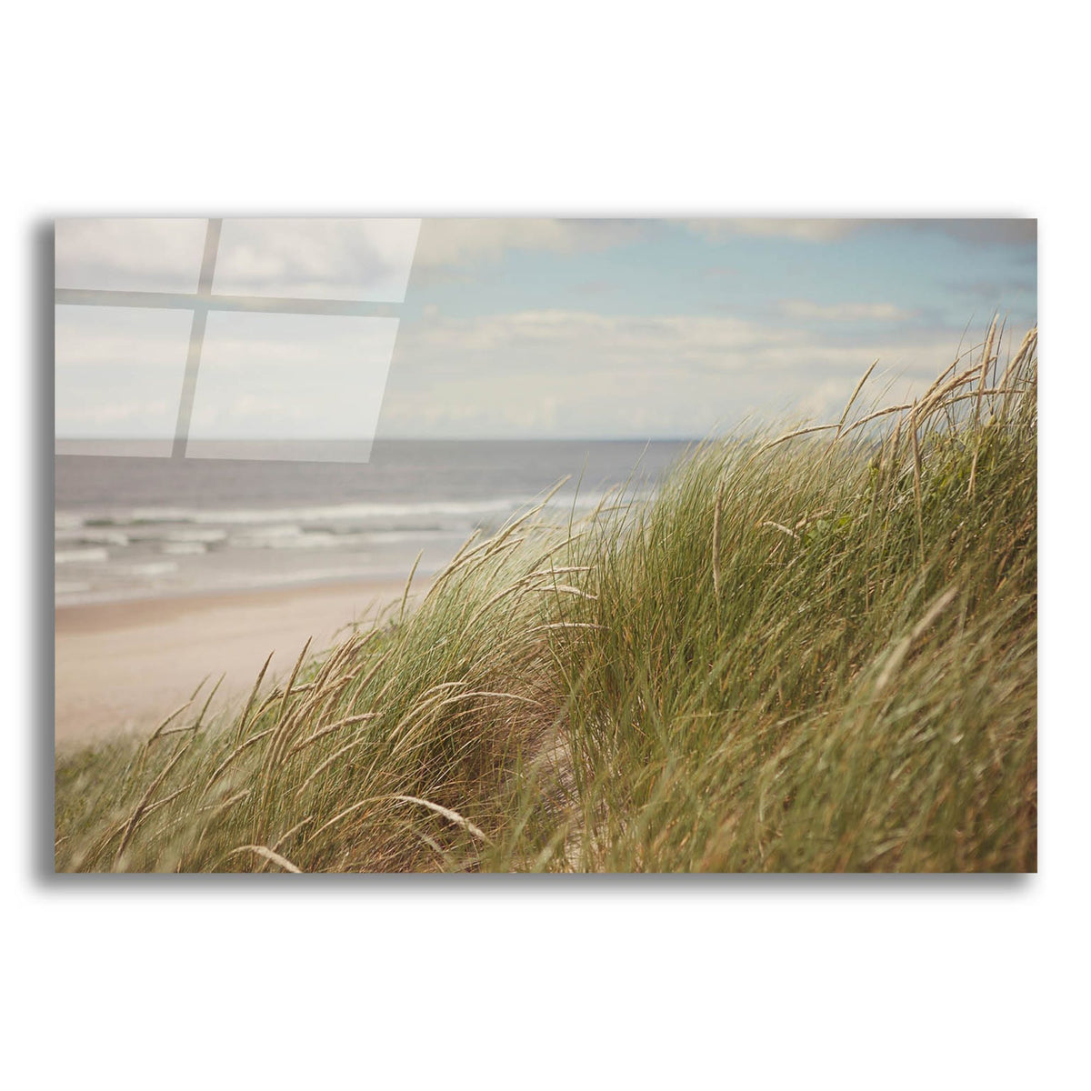 Epic Art ' Beach Grass I' by Irene Suchocki, Acrylic Glass Wall Art