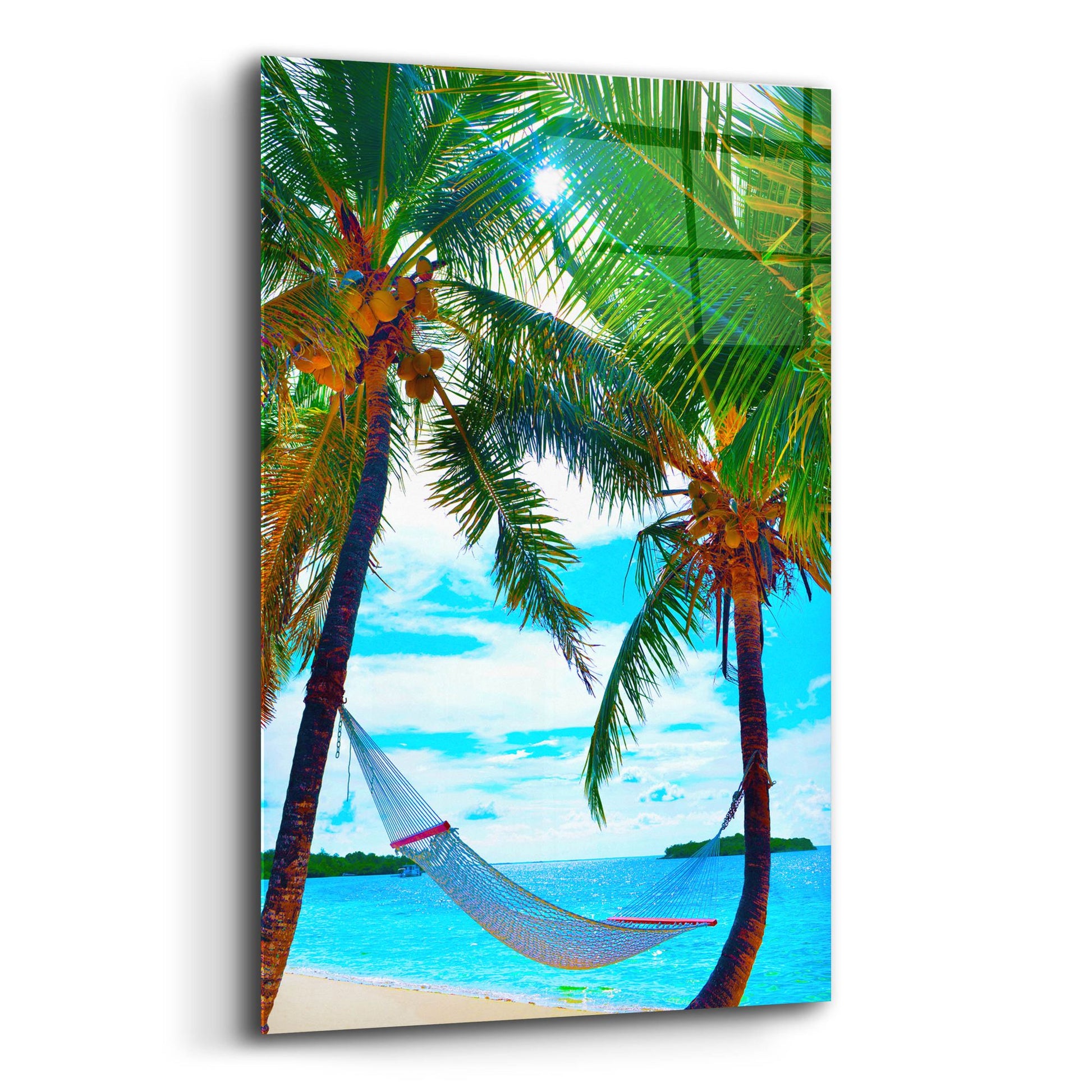 Epic Art ' Coconut Sun' by Jack Reed, Acrylic Glass Wall Art,12x16