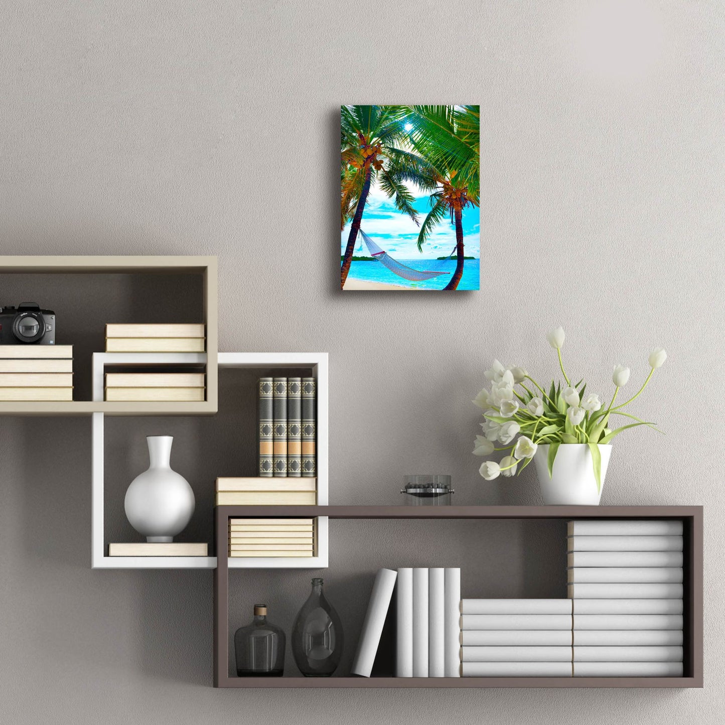 Epic Art ' Coconut Sun' by Jack Reed, Acrylic Glass Wall Art,12x16