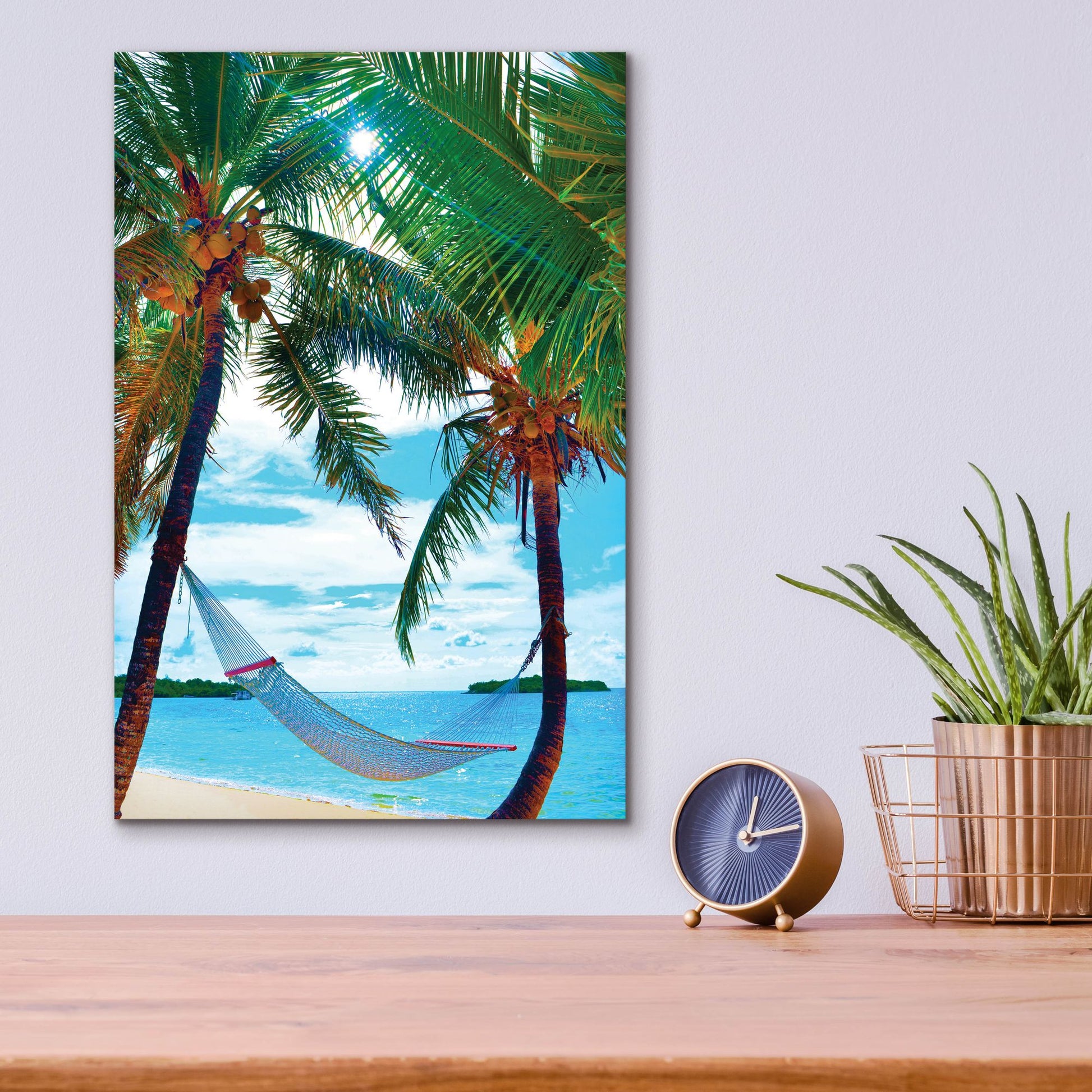 Epic Art ' Coconut Sun' by Jack Reed, Acrylic Glass Wall Art,12x16