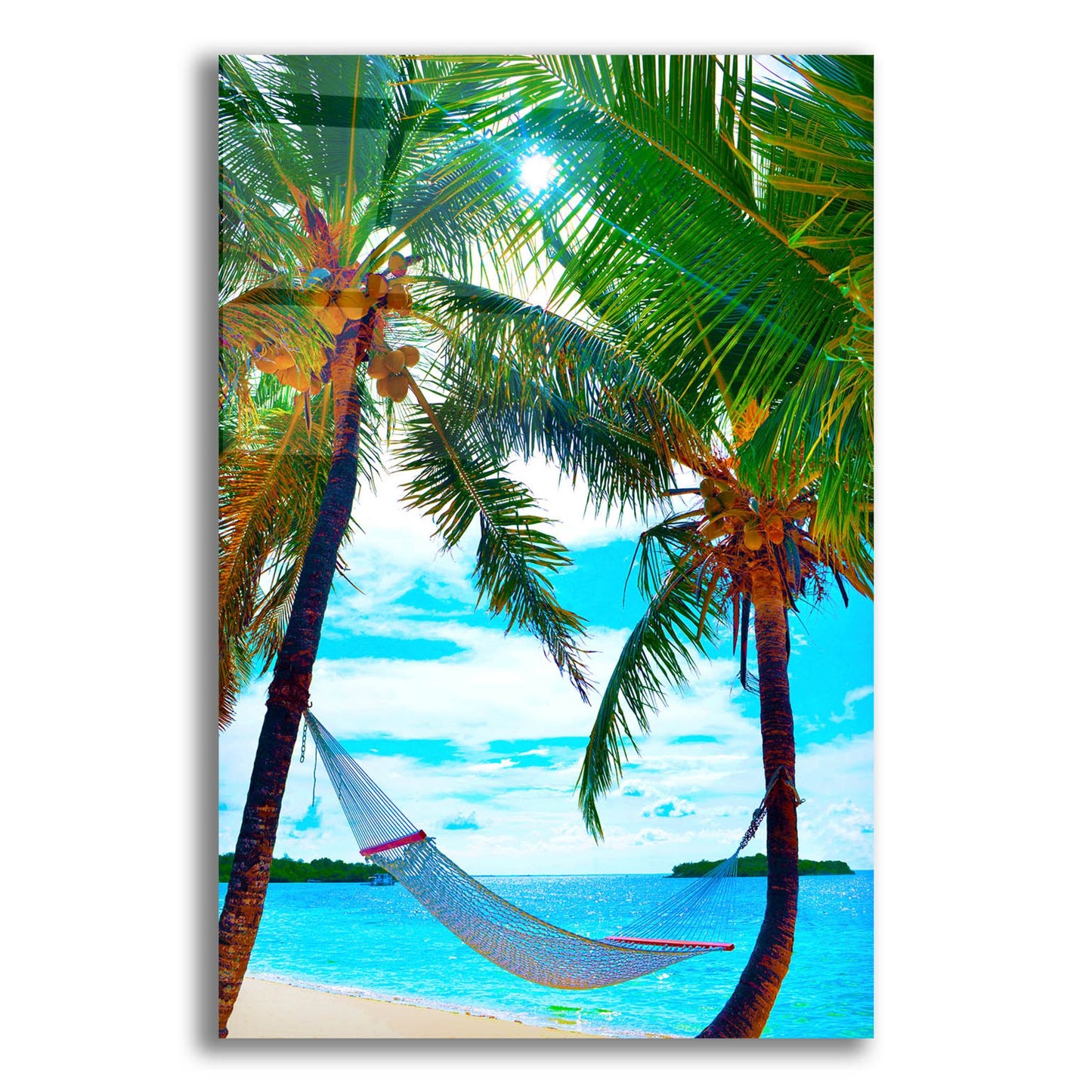 Epic Art ' Coconut Sun' by Jack Reed, Acrylic Glass Wall Art