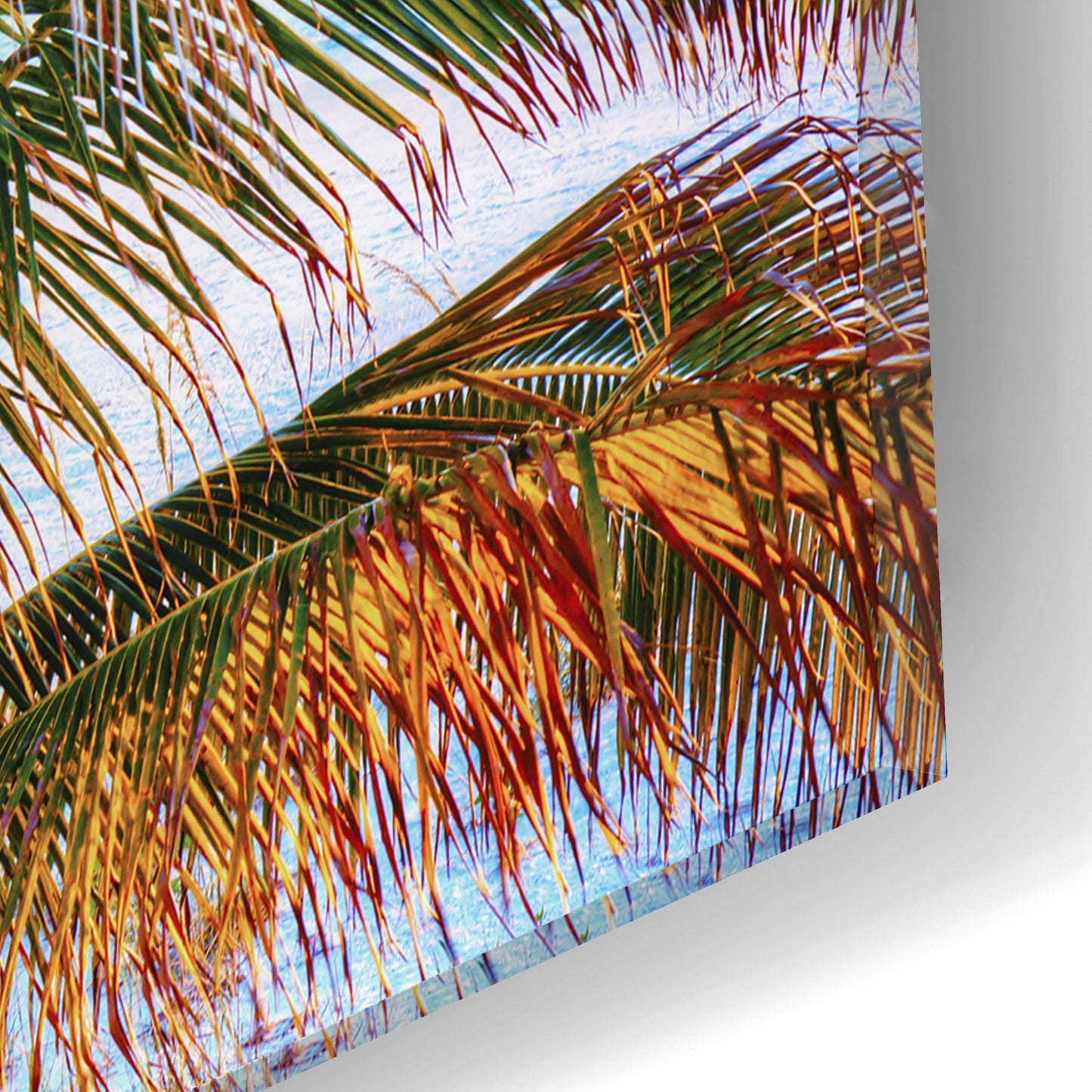 Epic Art ' Colors of Florida' by Jack Reed, Acrylic Glass Wall Art,16x12