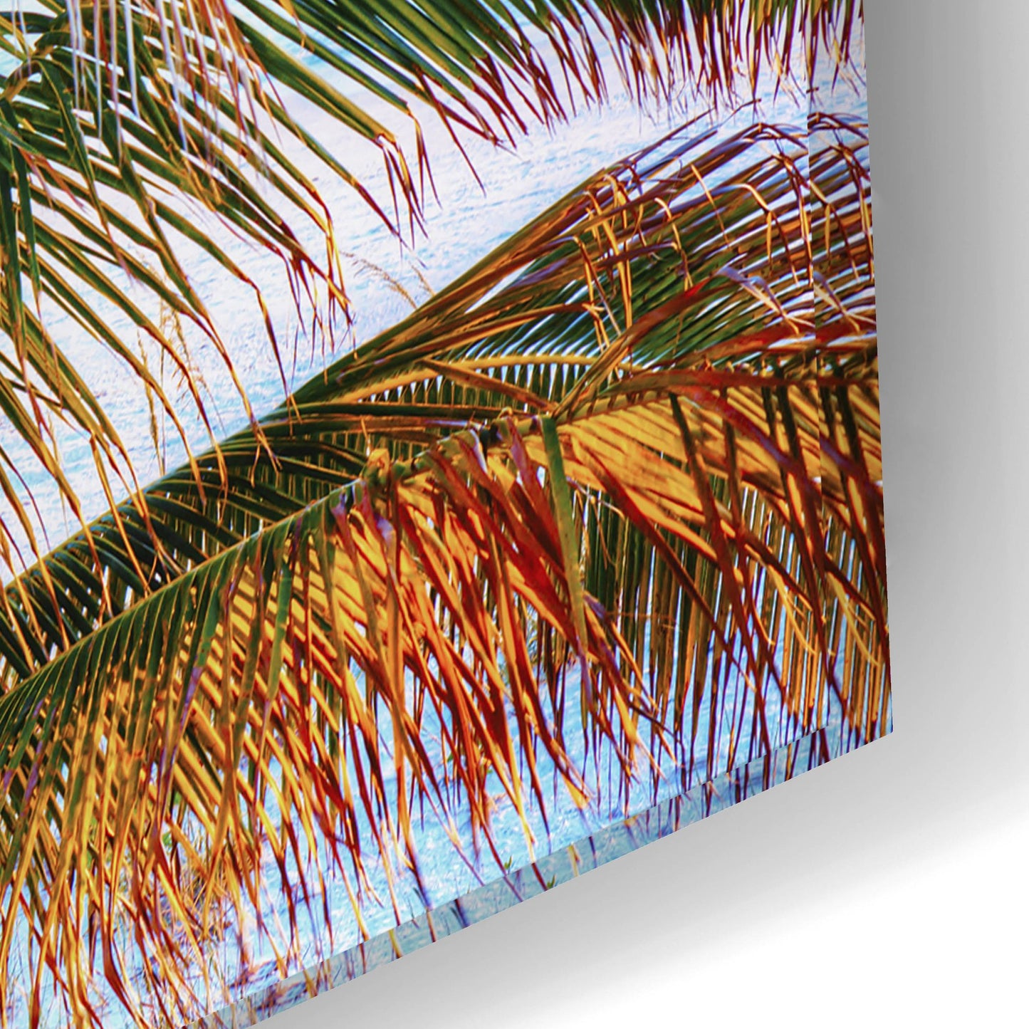 Epic Art ' Colors of Florida' by Jack Reed, Acrylic Glass Wall Art,24x16