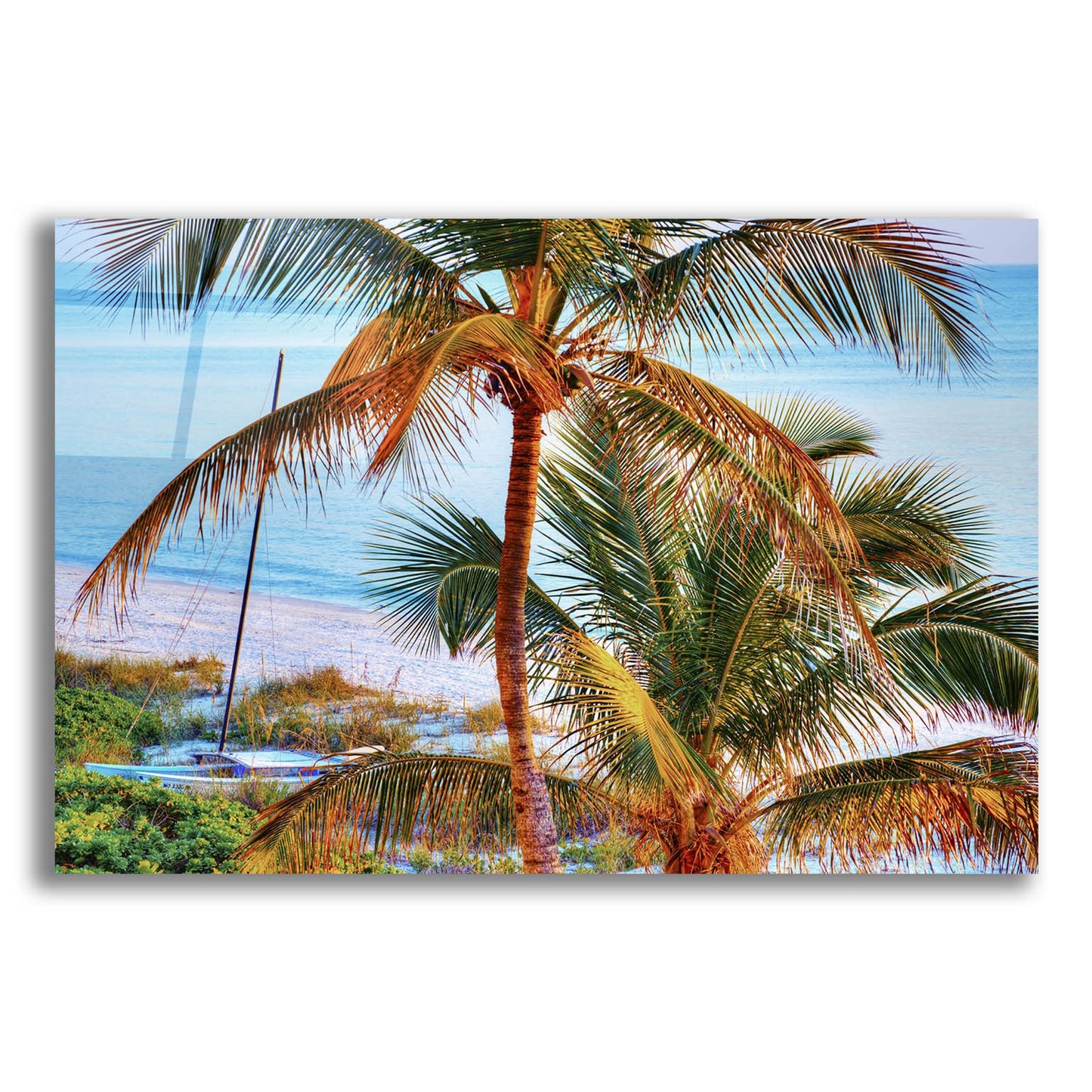 Epic Art ' Colors of Florida' by Jack Reed, Acrylic Glass Wall Art