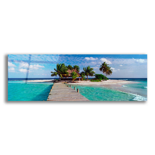 Epic Art ' Island Life' by Jack Reed, Acrylic Glass Wall Art