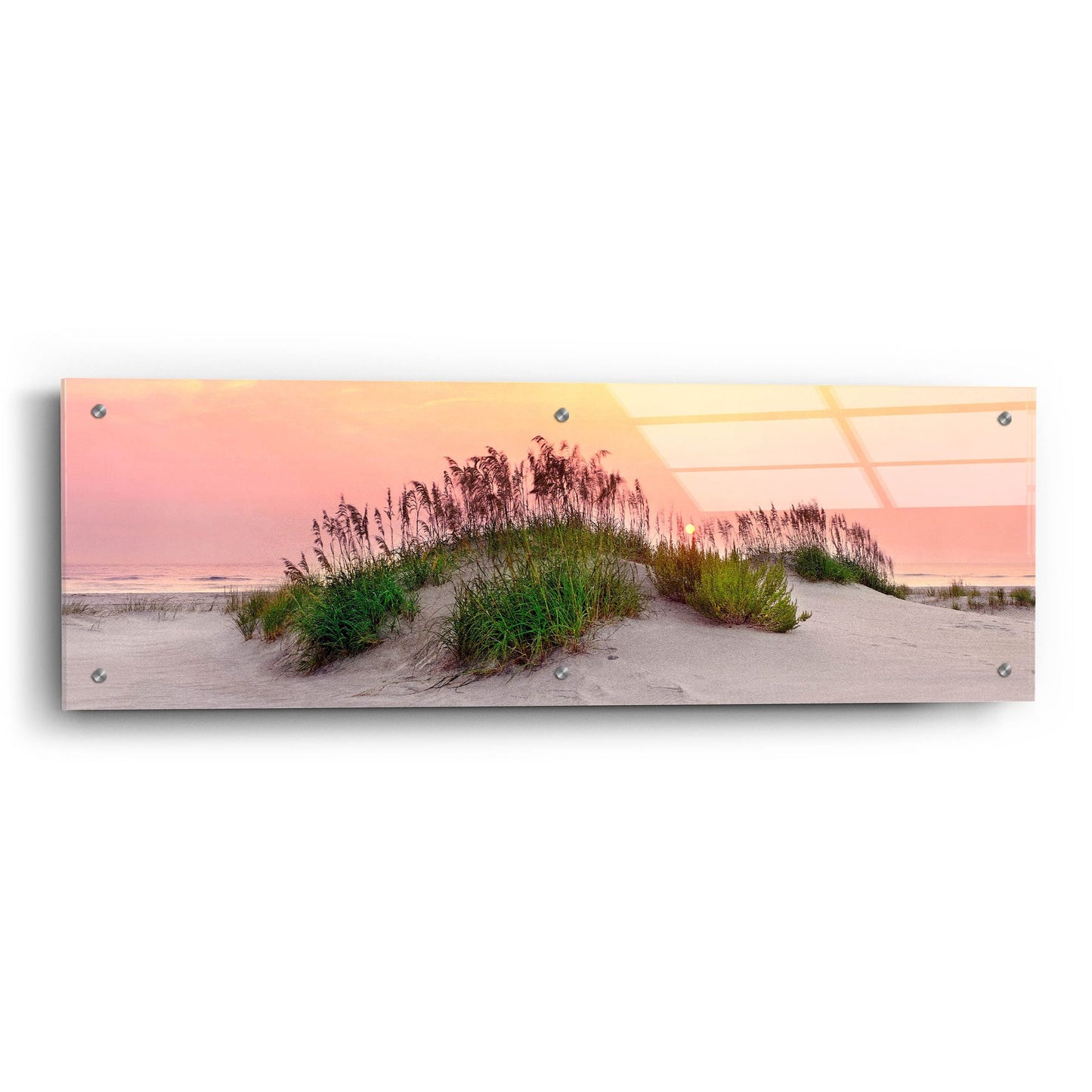 Epic Art ' Sea Oats Sun' by Jack Reed, Acrylic Glass Wall Art,36x12