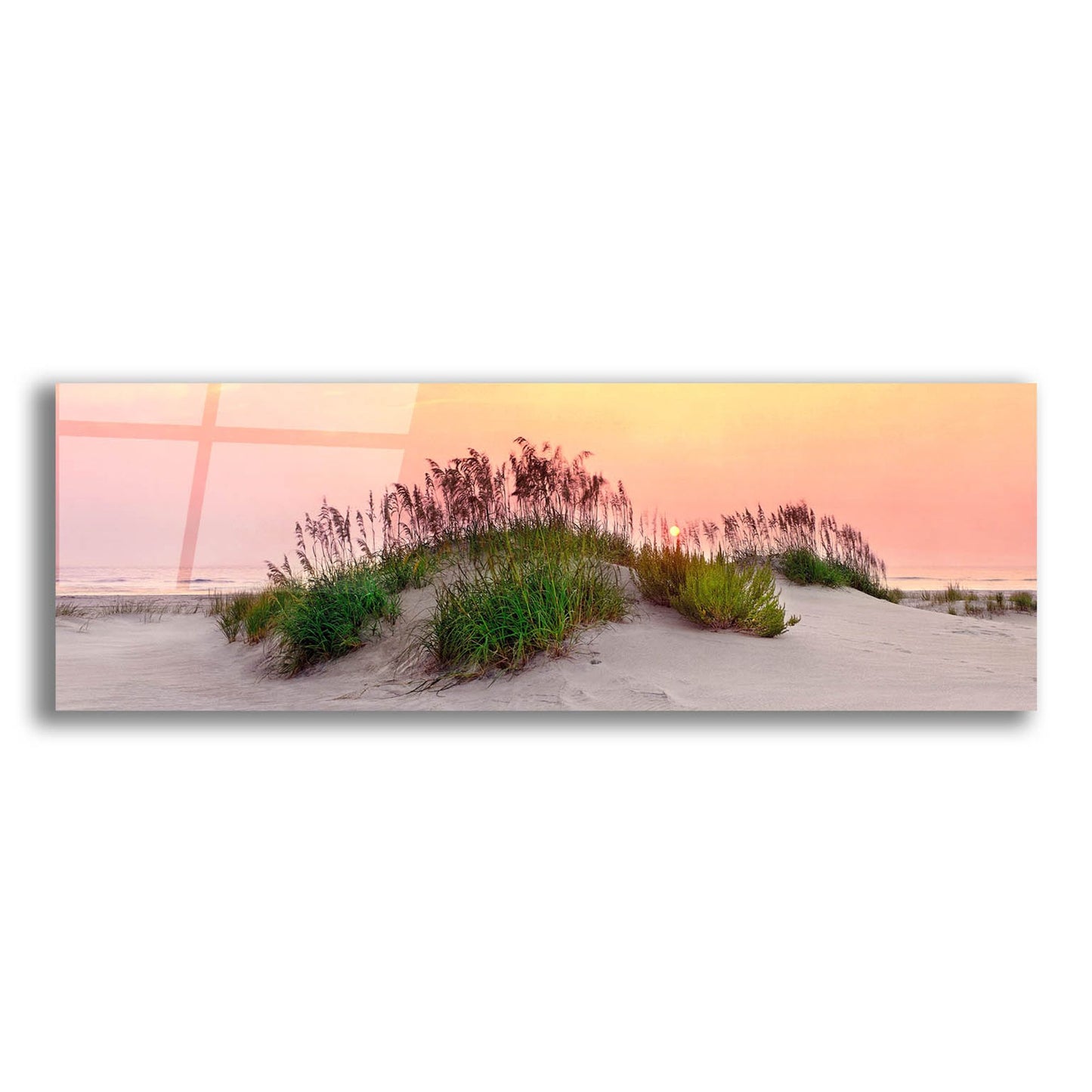 Epic Art ' Sea Oats Sun' by Jack Reed, Acrylic Glass Wall Art