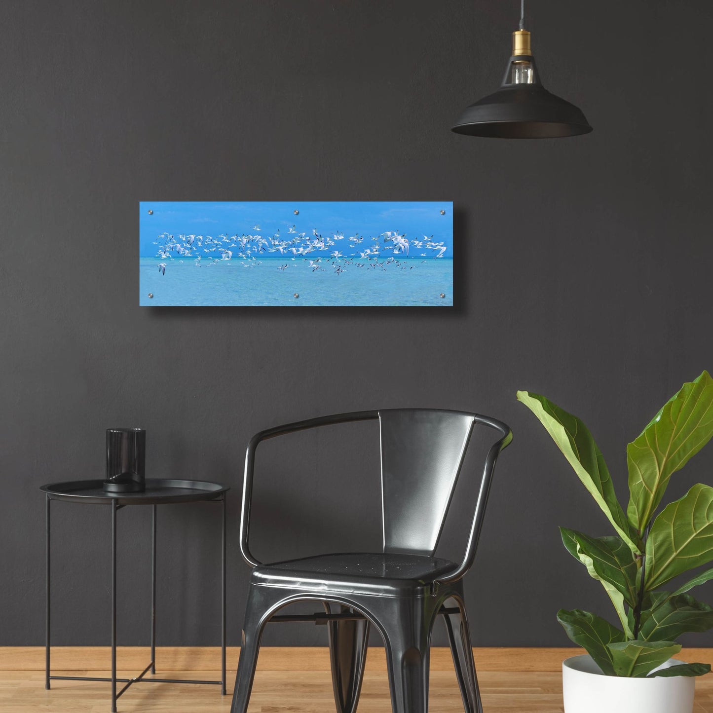 Epic Art ' Sugarlife Seabirds' by Jack Reed, Acrylic Glass Wall Art,36x12