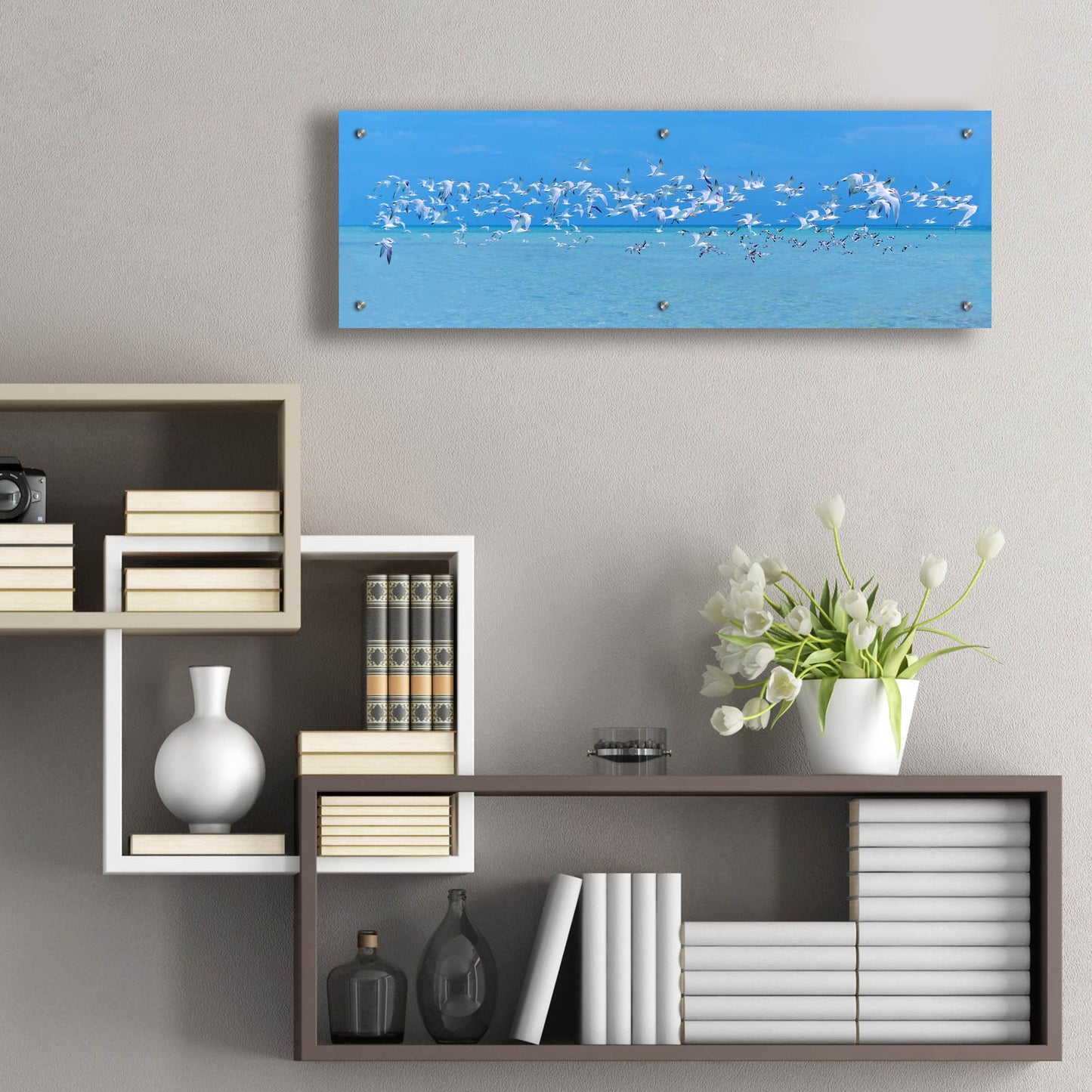Epic Art ' Sugarlife Seabirds' by Jack Reed, Acrylic Glass Wall Art,36x12