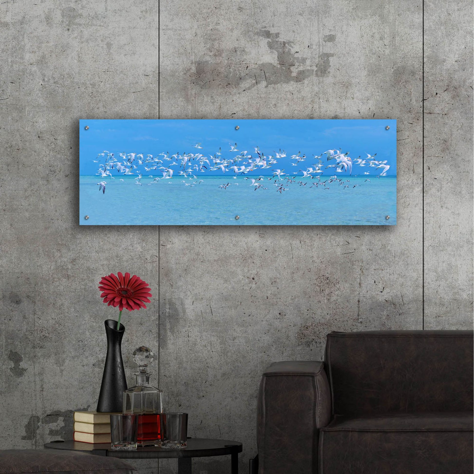 Epic Art ' Sugarlife Seabirds' by Jack Reed, Acrylic Glass Wall Art,48x16