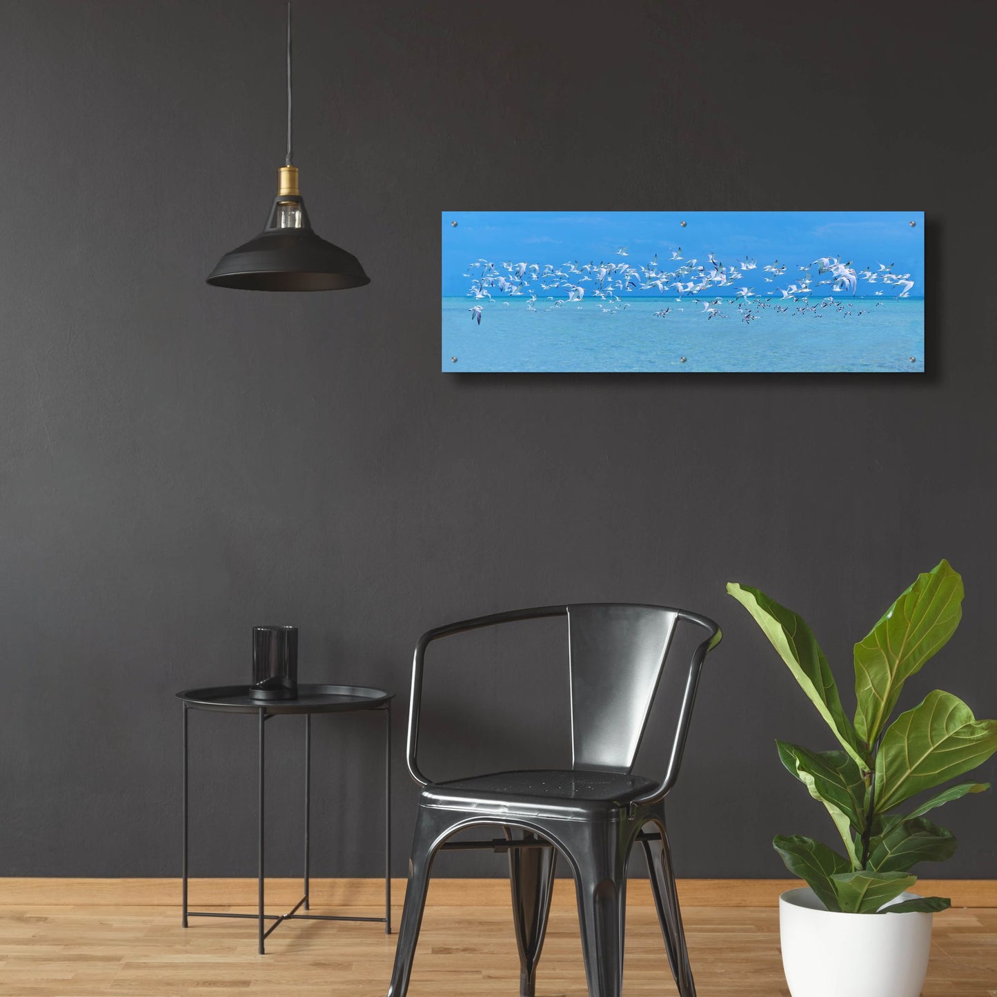 Epic Art ' Sugarlife Seabirds' by Jack Reed, Acrylic Glass Wall Art,48x16