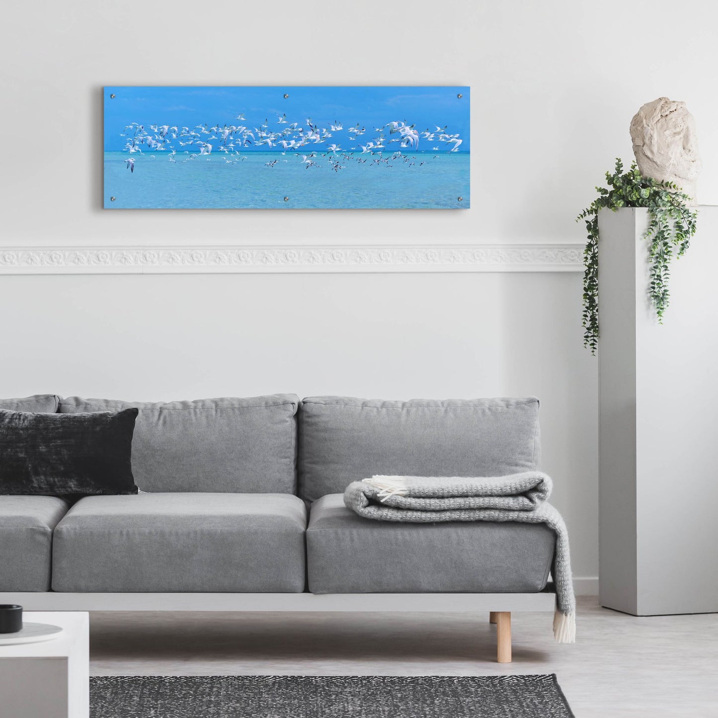 Epic Art ' Sugarlife Seabirds' by Jack Reed, Acrylic Glass Wall Art,48x16