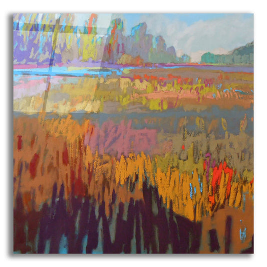 Epic Art ' Colorfield XXII' by Jane Schmidt, Acrylic Glass Wall Art