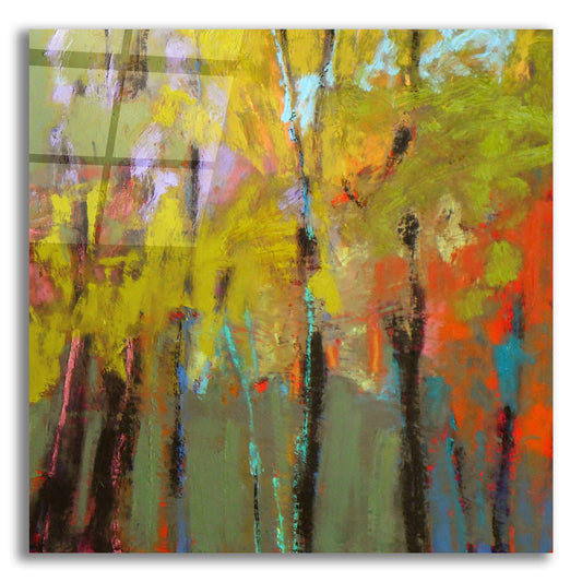 Epic Art ' Trees Three' by Jane Schmidt, Acrylic Glass Wall Art