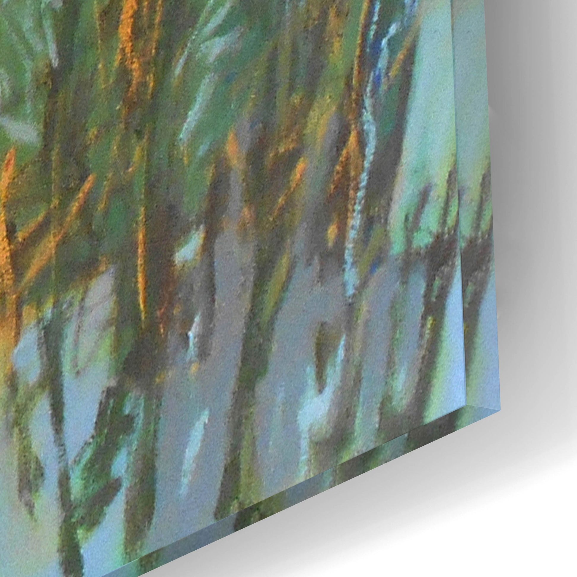 Epic Art ' Marsh in May' by Jane Schmidt, Acrylic Glass Wall Art,16x12