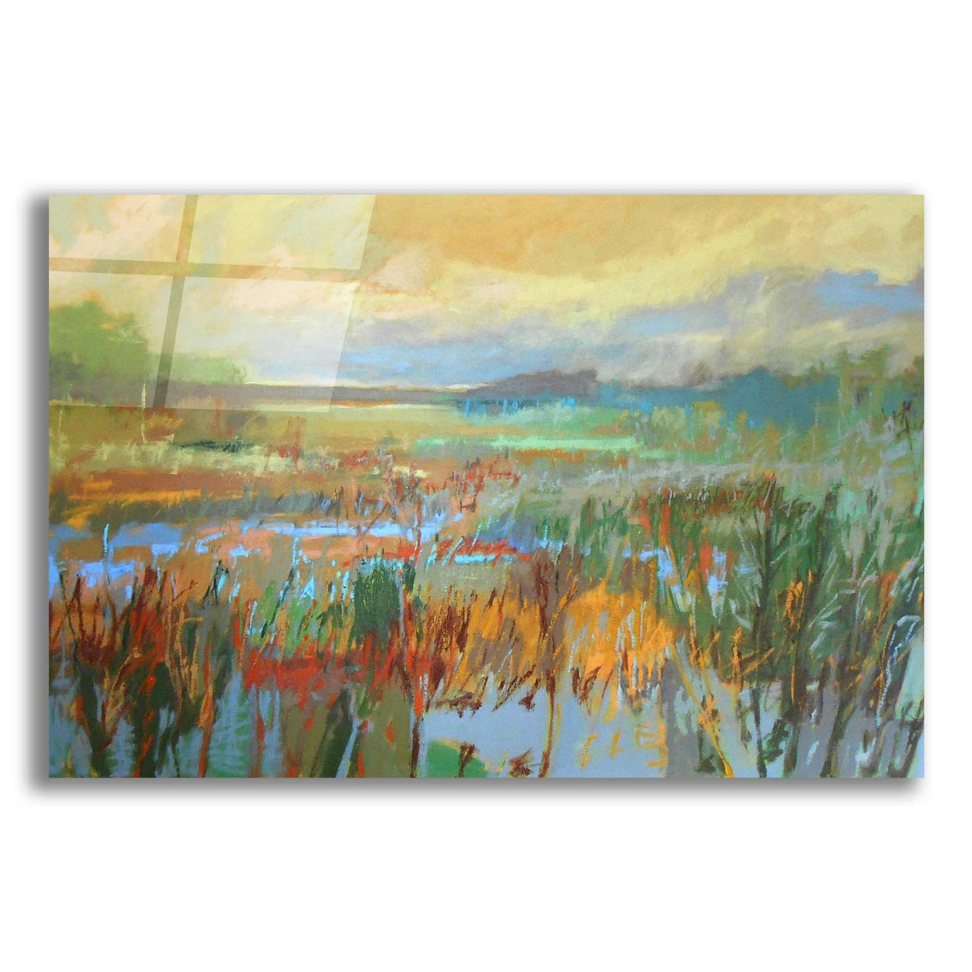 Epic Art ' Marsh in May' by Jane Schmidt, Acrylic Glass Wall Art,24x16