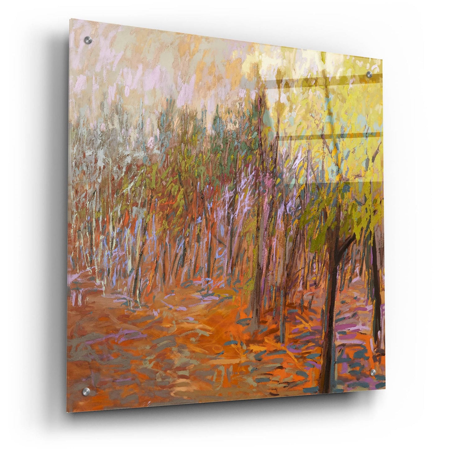 Epic Art ' From Where I Stood' by Jane Schmidt, Acrylic Glass Wall Art,24x24