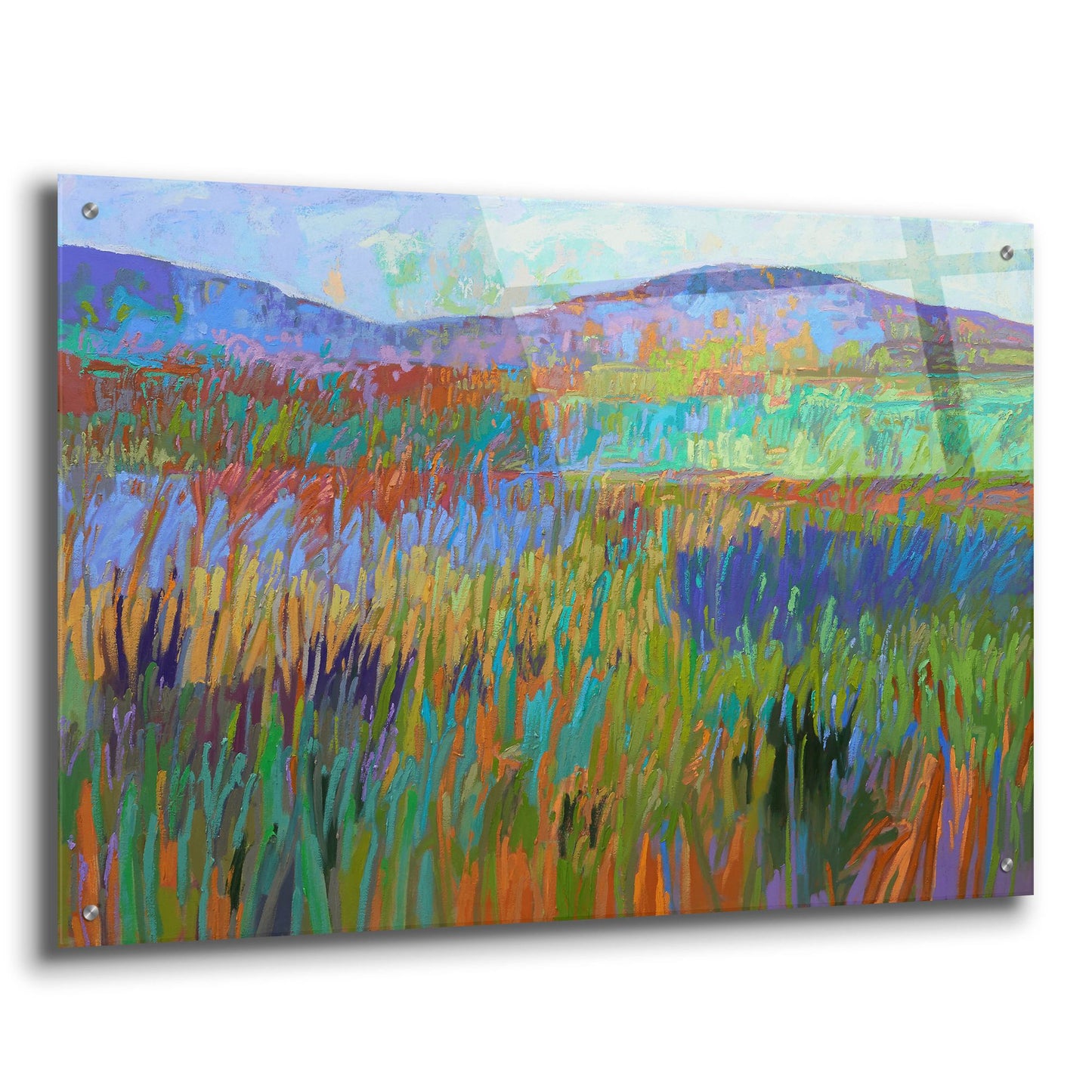 Epic Art ' Color Field 68' by Jane Schmidt, Acrylic Glass Wall Art,36x24