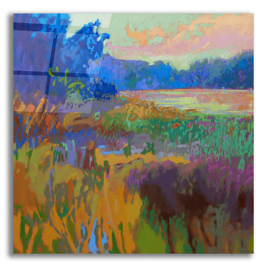 Epic Art ' Pastoral XV' by Jane Schmidt, Acrylic Glass Wall Art