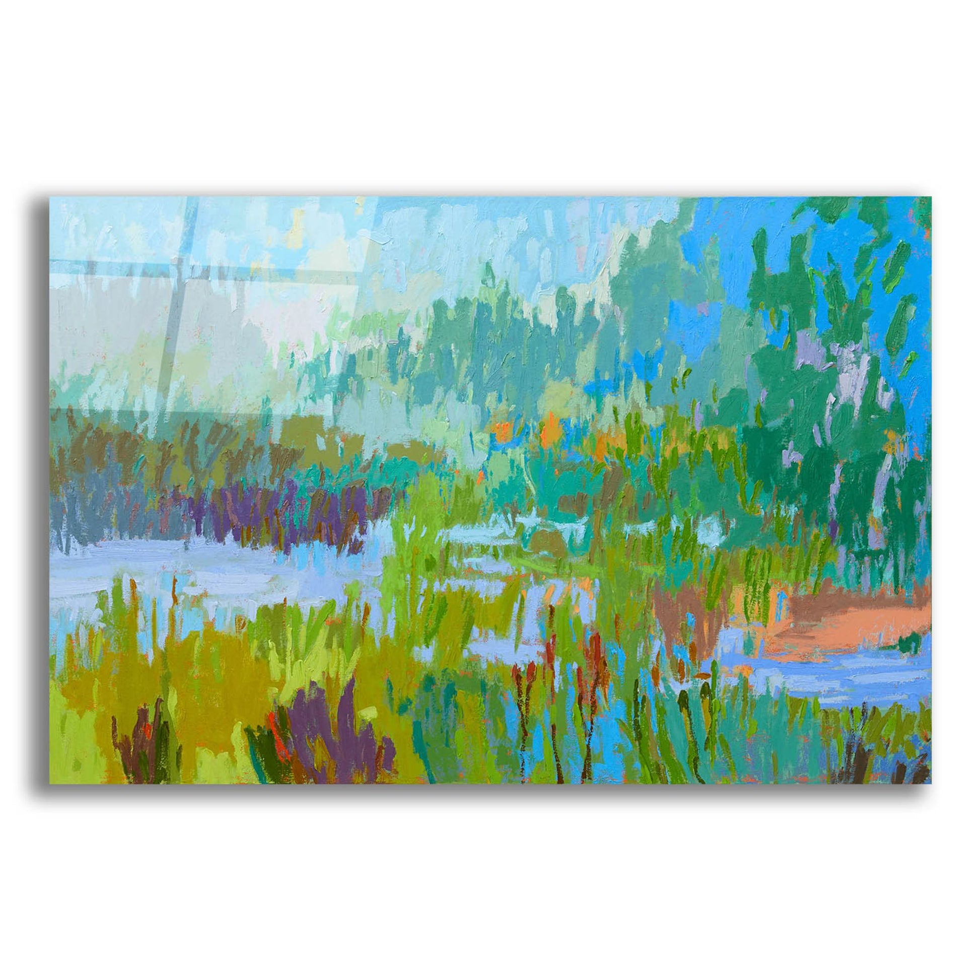 Epic Art ' Southern Charm II' by Jane Schmidt, Acrylic Glass Wall Art,24x16