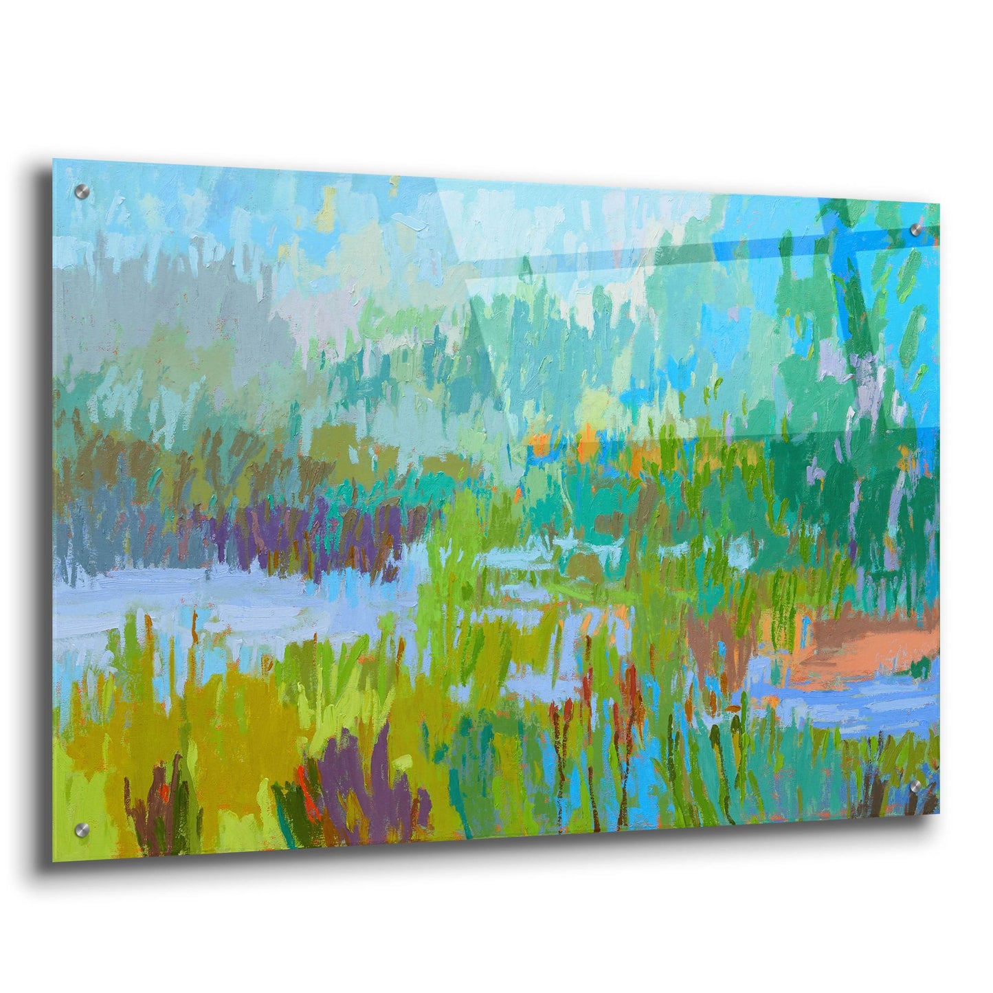 Epic Art ' Southern Charm II' by Jane Schmidt, Acrylic Glass Wall Art,36x24