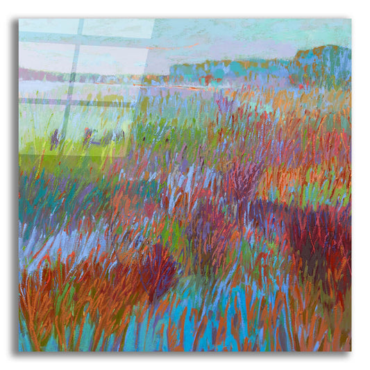 Epic Art ' Color Field 71' by Jane Schmidt, Acrylic Glass Wall Art