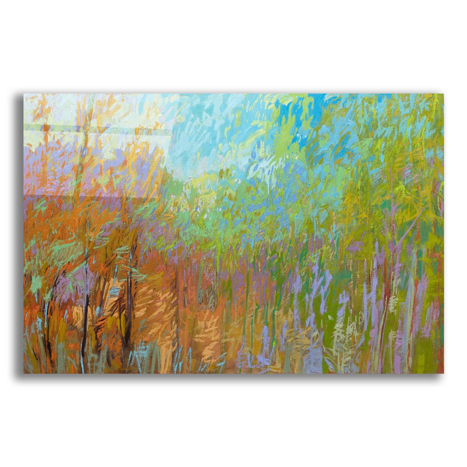 Epic Art ' Color Field 55' by Jane Schmidt, Acrylic Glass Wall Art,24x16