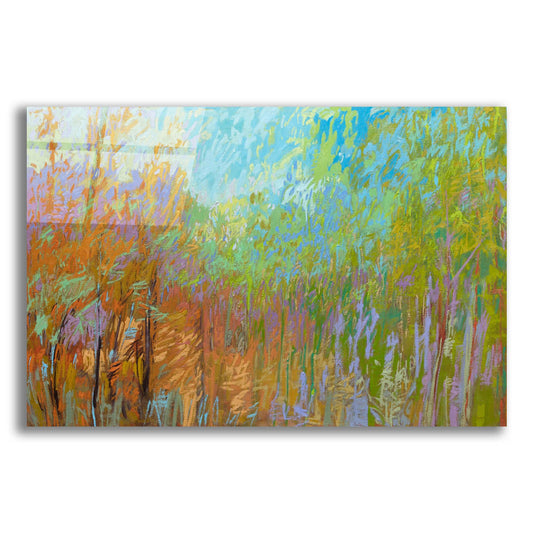 Epic Art ' Color Field 55' by Jane Schmidt, Acrylic Glass Wall Art