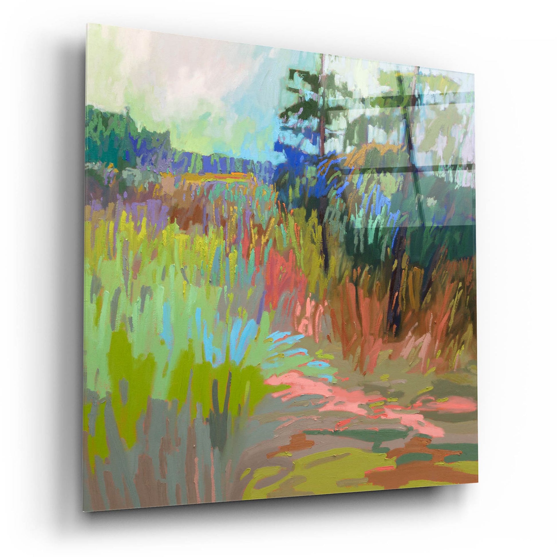 Epic Art ' Out There' by Jane Schmidt, Acrylic Glass Wall Art,12x12