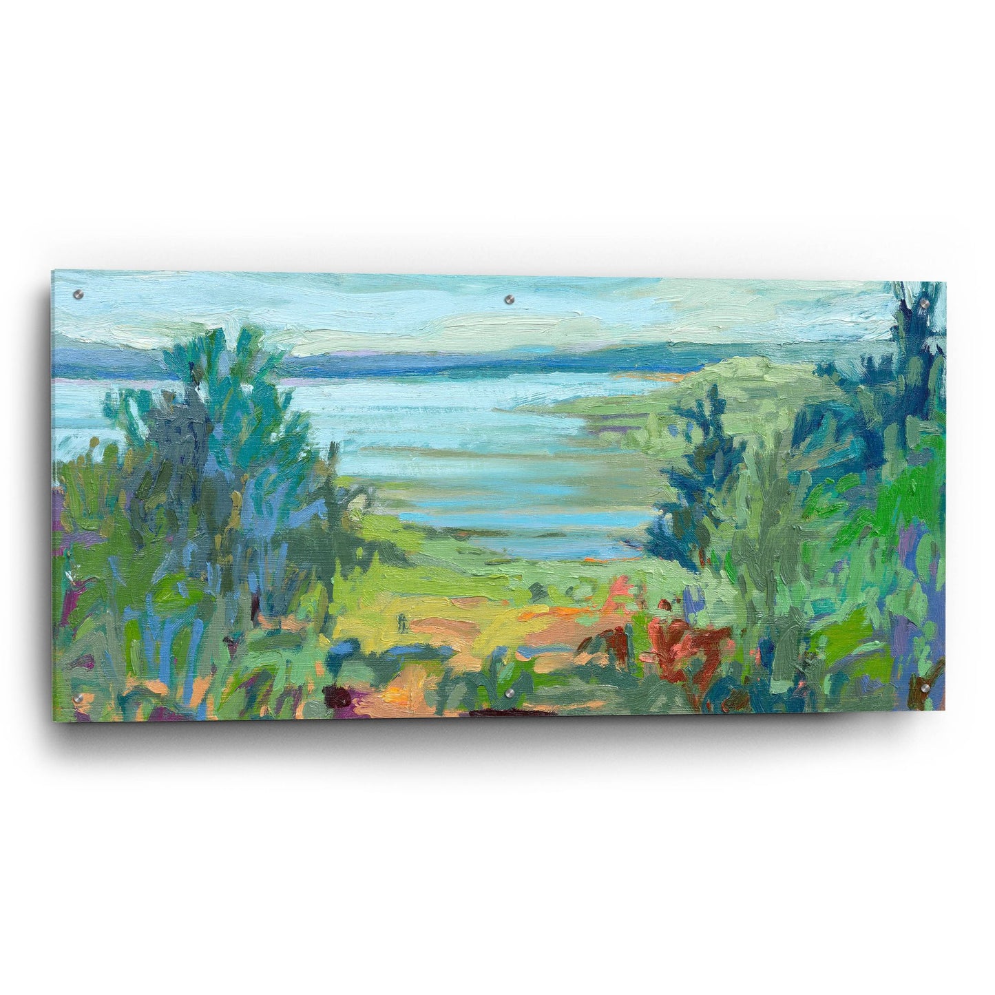 Epic Art ' On A Clear Day' by Jane Schmidt, Acrylic Glass Wall Art,48x24