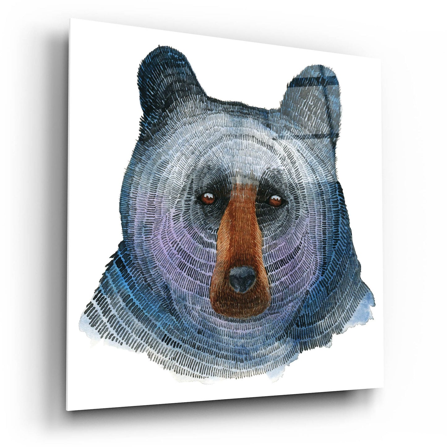 Epic Art ' Black Bear' by Jeannine Saylor, Acrylic Glass Wall Art,12x12