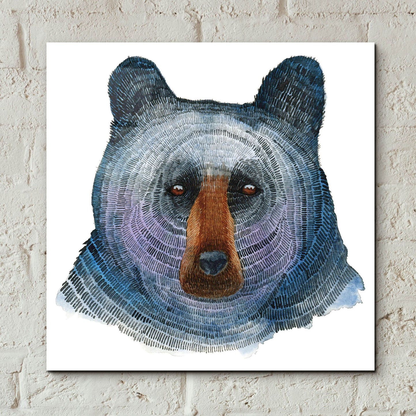 Epic Art ' Black Bear' by Jeannine Saylor, Acrylic Glass Wall Art,12x12