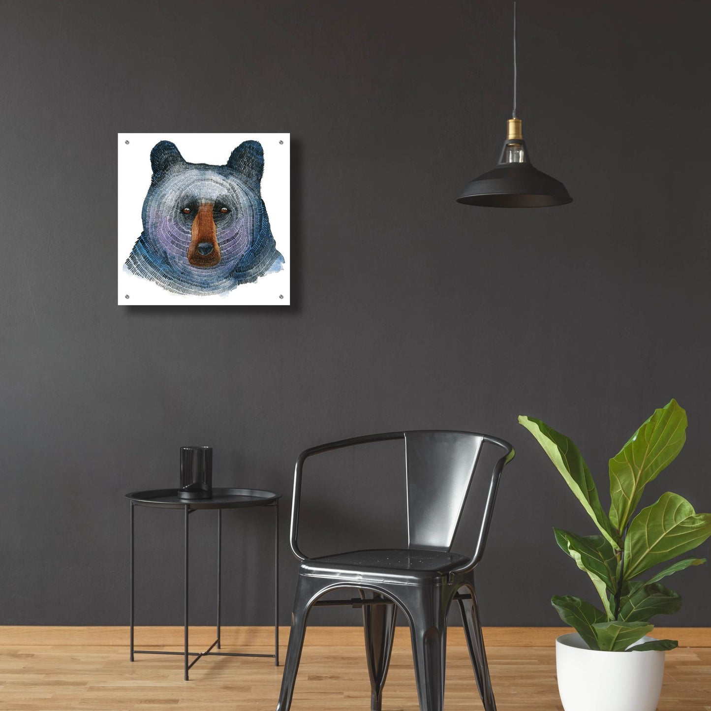 Epic Art ' Black Bear' by Jeannine Saylor, Acrylic Glass Wall Art,24x24