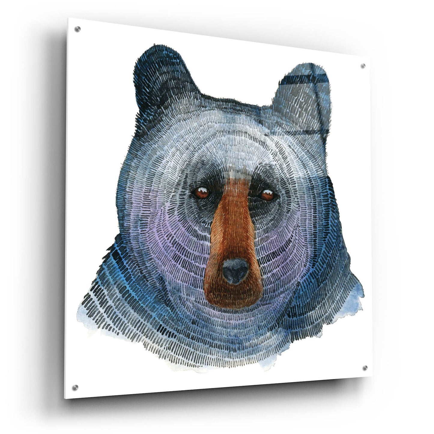 Epic Art ' Black Bear' by Jeannine Saylor, Acrylic Glass Wall Art,36x36