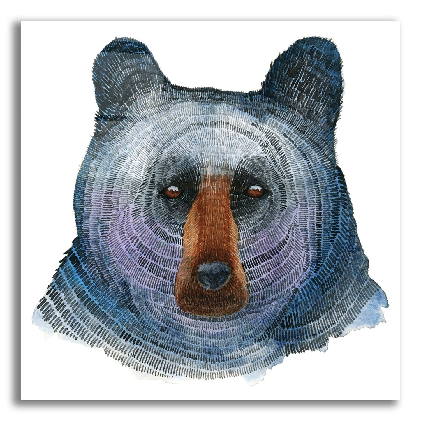 Epic Art ' Black Bear' by Jeannine Saylor, Acrylic Glass Wall Art