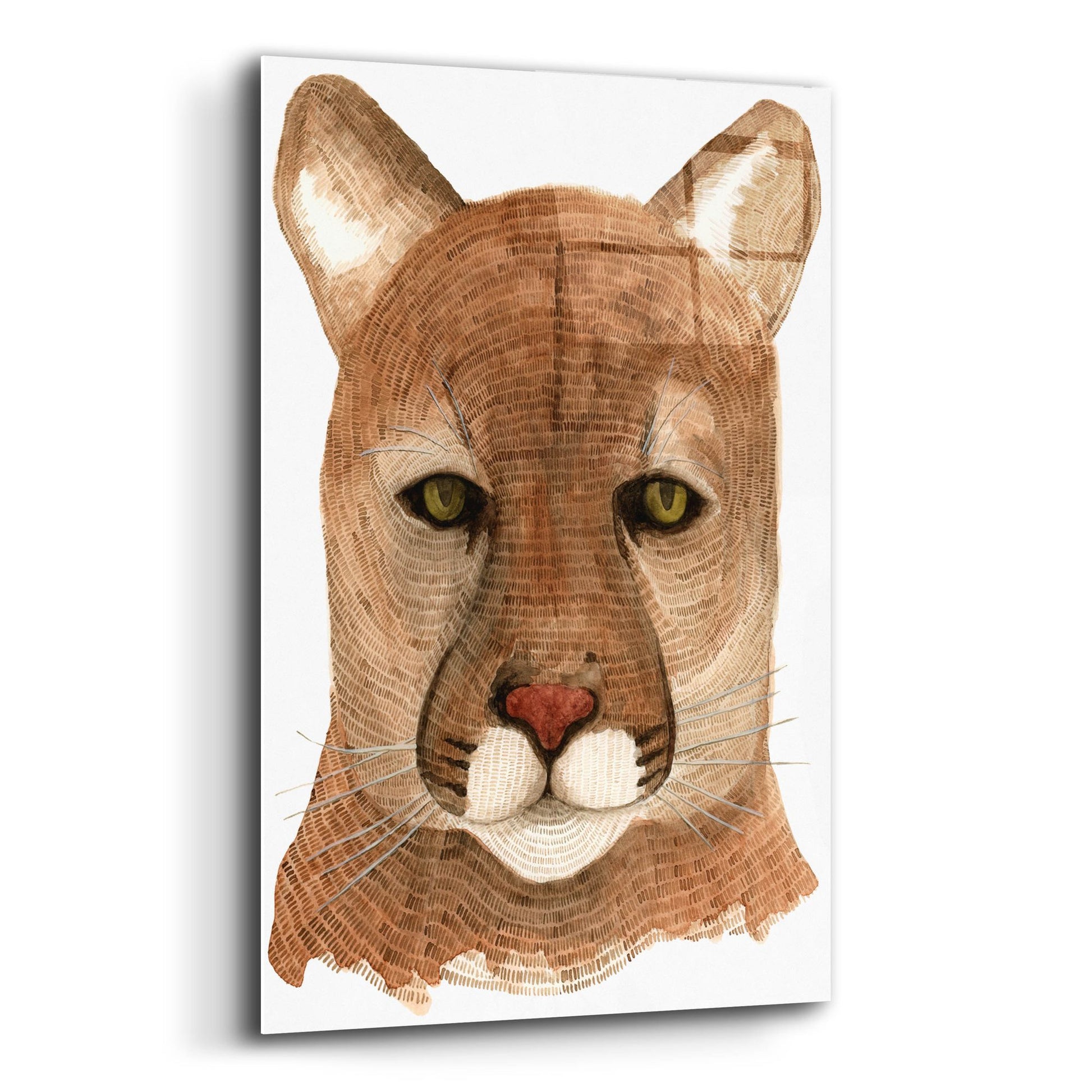 Epic Art ' Cougar' by Jeannine Saylor, Acrylic Glass Wall Art,12x16