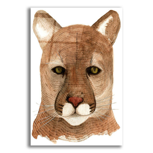 Epic Art ' Cougar' by Jeannine Saylor, Acrylic Glass Wall Art