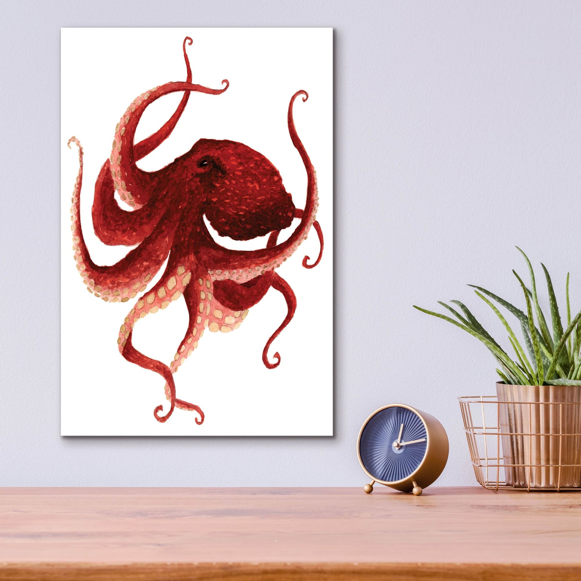 Epic Art ' Giant Pacific Octopus, Red' by Jeannine Saylor, Acrylic Glass Wall Art,12x16